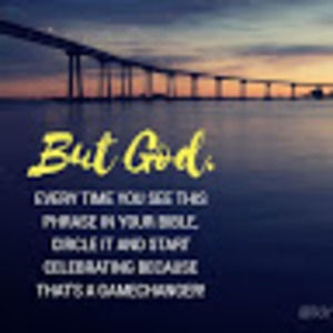 Meet your Posher, Elise